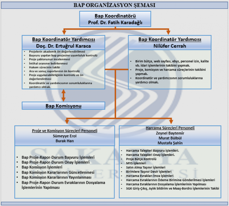 Organizasyon Şeması